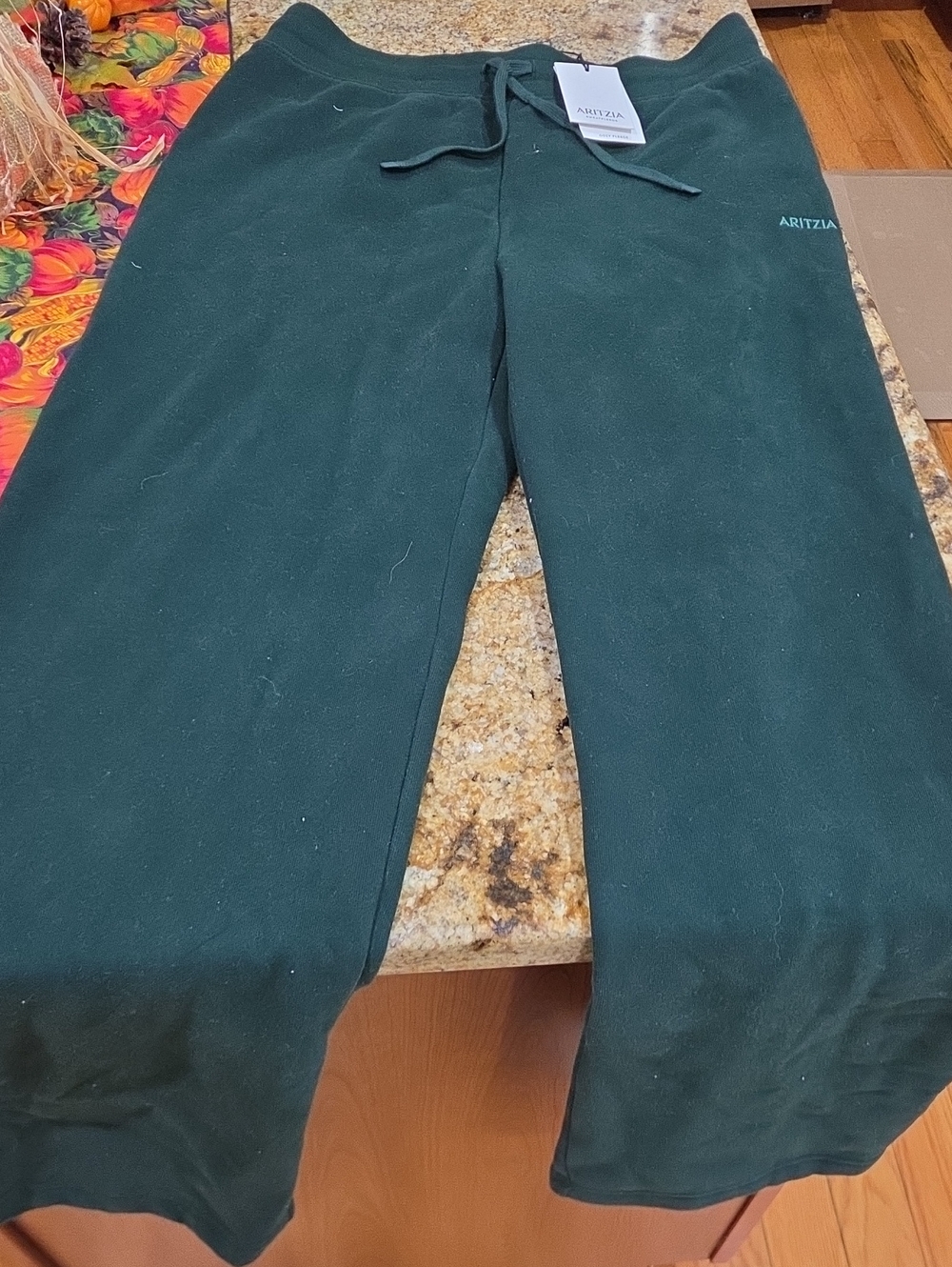 Aritzia Dark Green Women's Joggers with Drawstring Med NWT